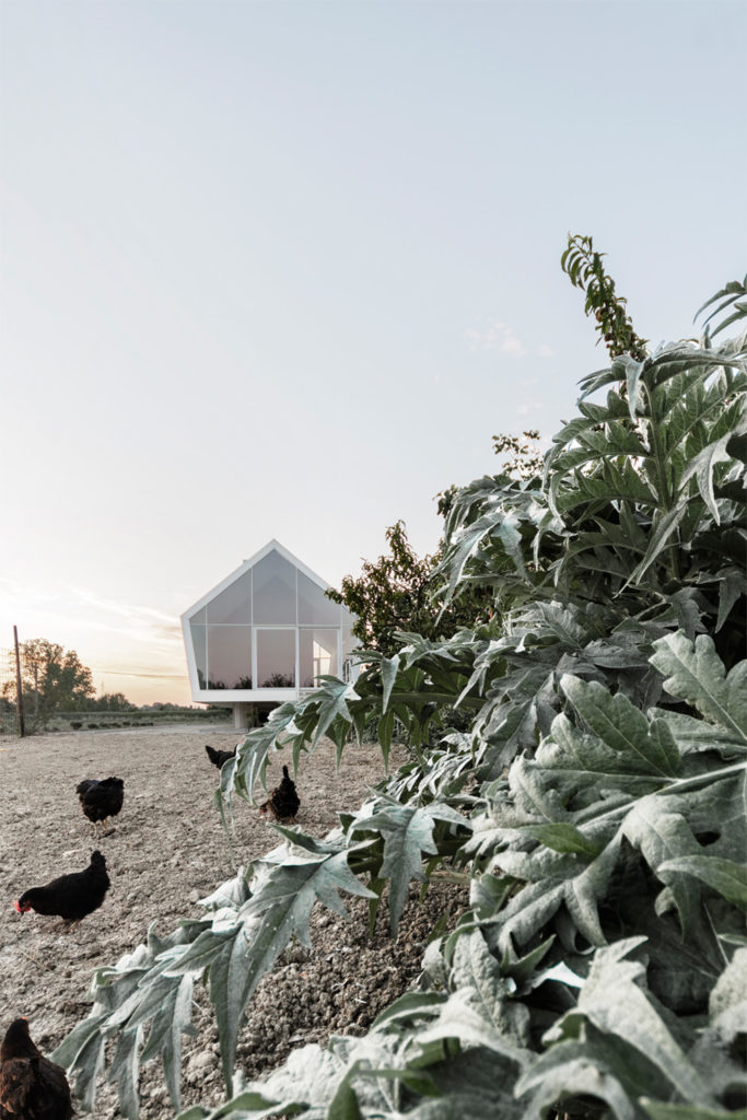 casa nell'orto con galline