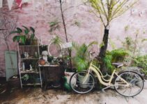 7 plantas tropicales que te transportarán al Brasil este carnaval