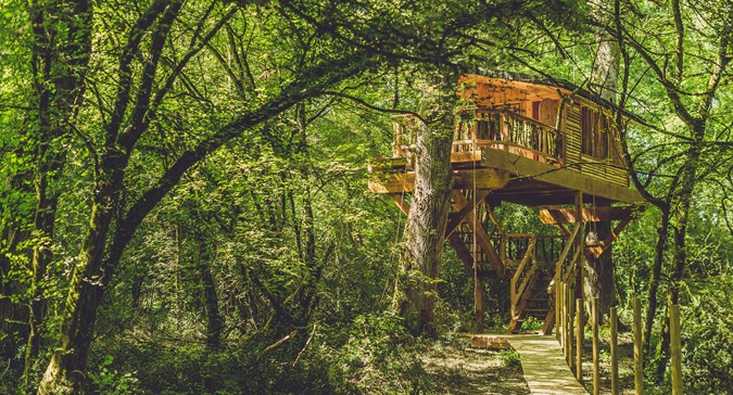 Basoa suites cabaña árbol