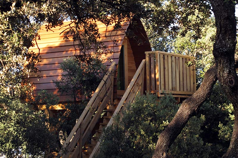 monte holiday casa del árbol