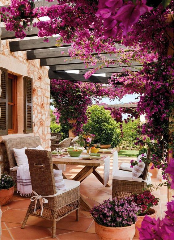 plantas exteriores