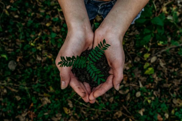 soluciones para el cambio climático